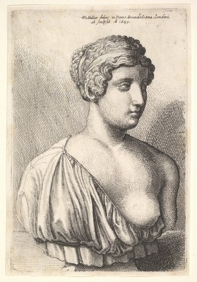 Antike Büste einer Frau von Wenceslaus Hollar