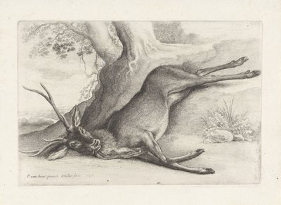 Erschossenes Reh (Serie: Jacht, jachthonden en wild) von Wenceslaus Hollar