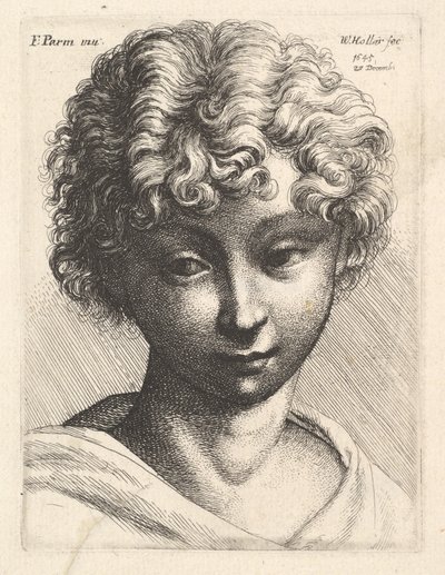 Kopf eines jungen Mädchens, 1645 von Wenceslaus Hollar