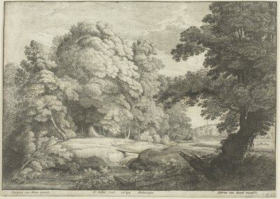 Die Brücke über den Wasserfall von Wenceslaus Hollar