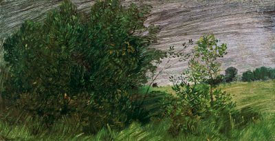 Landschaft von Wilhelm Busch