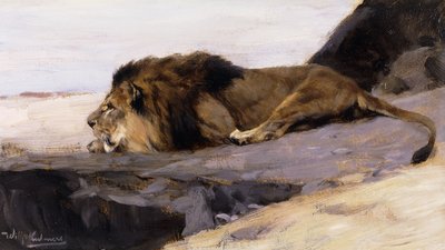 Ein ruhender Löwe von Wilhelm Kuhnert