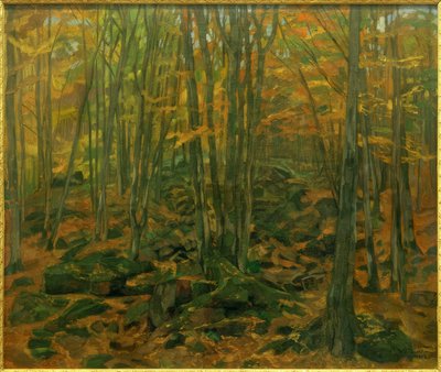 Felsengeröll im Odenwald von Wilhelm Trübner