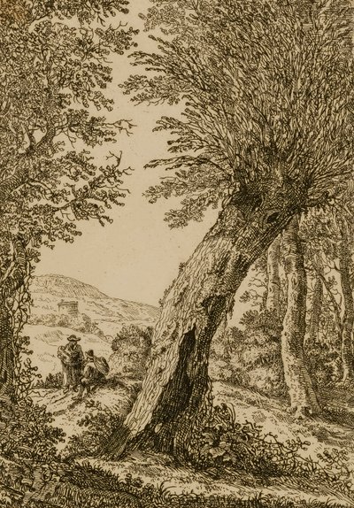 Landschaft mit Weide von Willem Bemmel