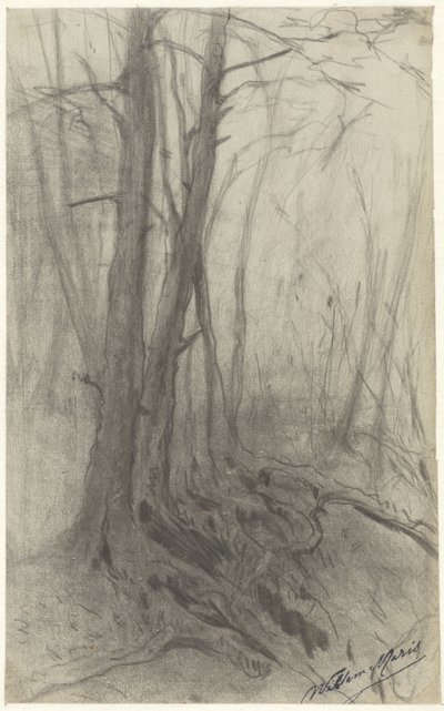 Bäume in einem Wald von Willem Maris