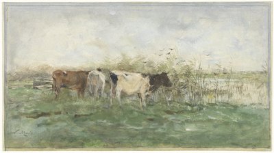 Kühe an einem Teich von Willem Maris