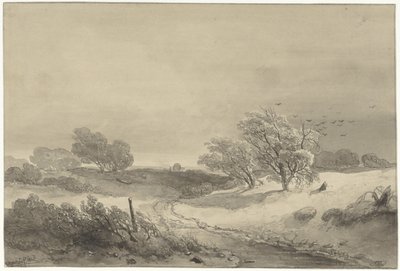 Dünenlandschaft bei trübem Wetter von Willem Roelofs (I)