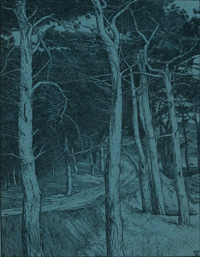 Wald, um 1912 von Willem Wenckebach