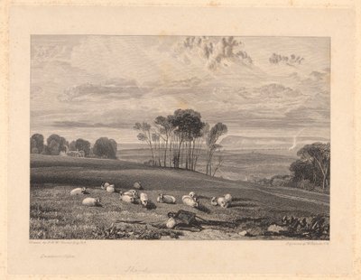Crowhurst, Sussex von William Bernard Cooke