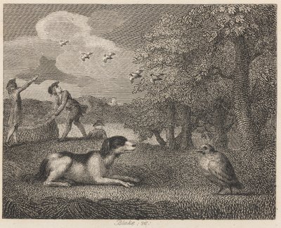 Der Vorstehhund und das Rebhuhn von William Blake