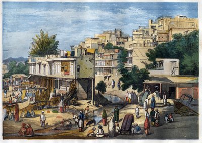 Ansicht von Peshawar, Pakistan von William Carpenter