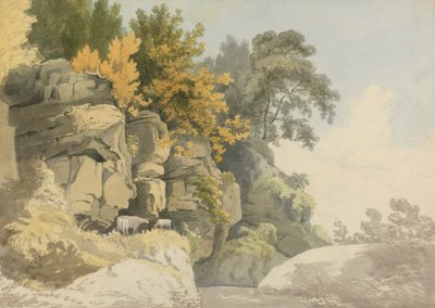 Bewaldete Felsen an einem Bach (Derbyshire?) von William Day