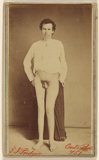 T.F. Pridgeon [Opfer des Bürgerkriegs] von William H. Bell