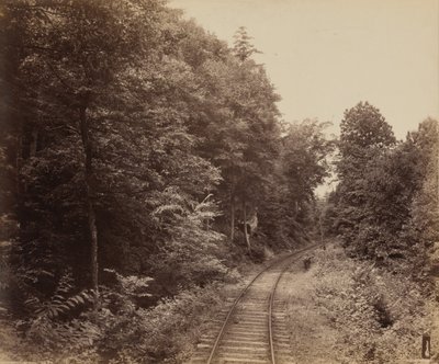 Musconetcong Glen von William H. Rau