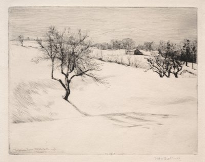 Der Bauernhof am Hang von William Harry Warren Bicknell