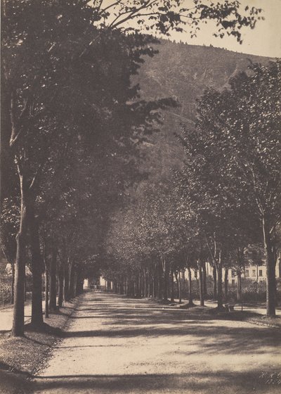 Allee von Bäumen, Pau, 1854 von William Henri Gebhard