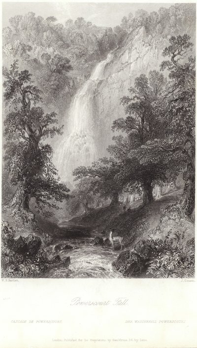 Powerscourt Fall am Fluss Dargle von William Henry Bartlett