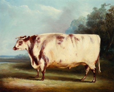 Ein Preisbulle, 1839 von William Henry Davis