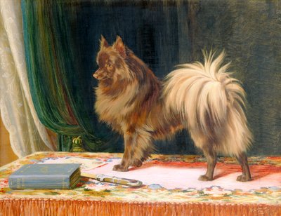 Porträt von Prairie Prince von William Henry Hamilton Trood