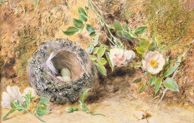 Stillleben mit Buchfinkennest von William Henry Hunt