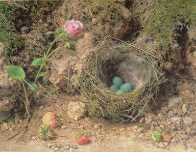 Stillleben mit Vogelnest von William Henry Hunt