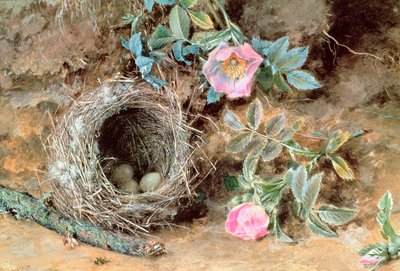 Wildrosen und Vogelnester von William Henry Hunt