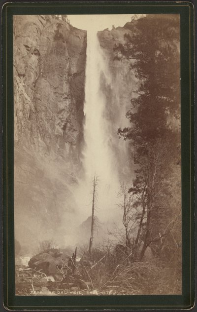 Brautschleier, Yosemite von William Henry Jackson