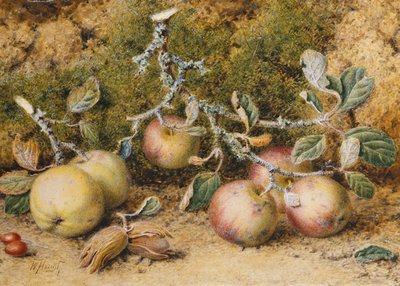 Stillleben mit Äpfeln, Haselnüssen und Hagebutten von William Hough