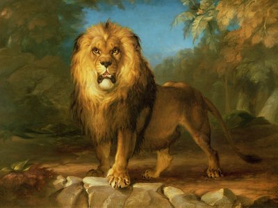 Ein Löwe, 1840 von William Huggins