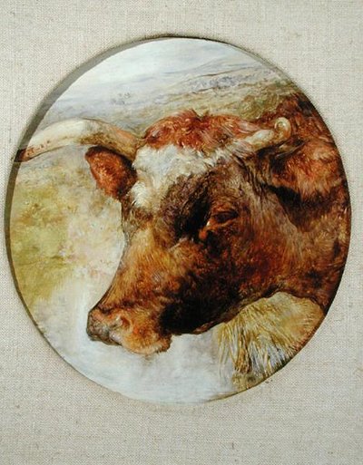 Kopf einer Langhornkuh von William Huggins