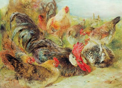 Geflügel von William Huggins