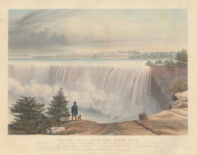 Niagarafälle vom Table Rock von William James Bennett