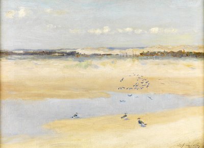Kiebitze am Meer von William James Laidlay