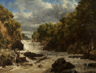 Schwalbenfälle, Bettws-y-Coed von William James Muller