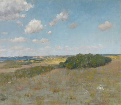 Sonnenlicht und Schatten, Shinnecock Hills von William Merritt Chase