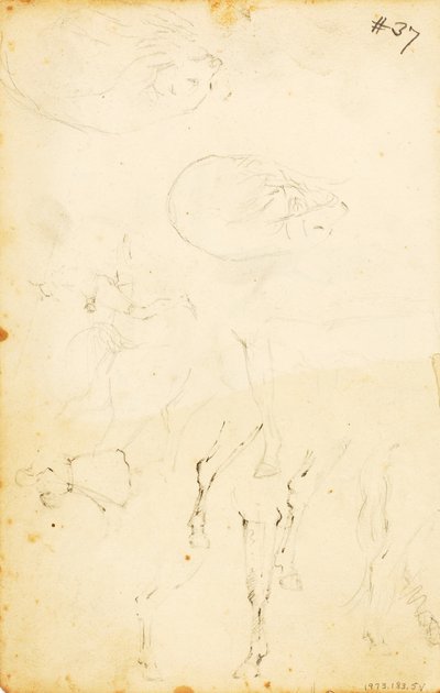 (Studien--Figuren, Baumstamm, Pferd und Reiter, etc.) von William Page