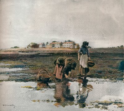 Muschelsammeln, ca. 1908 von William Page Atkinson Wells