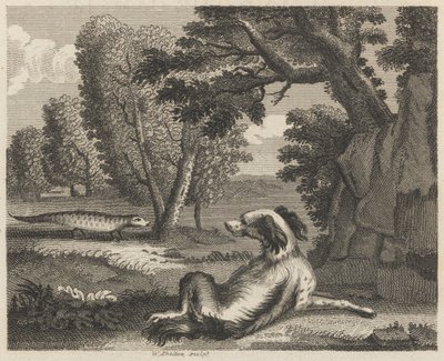 Der Spaniel und das Chamäleon von William Skelton