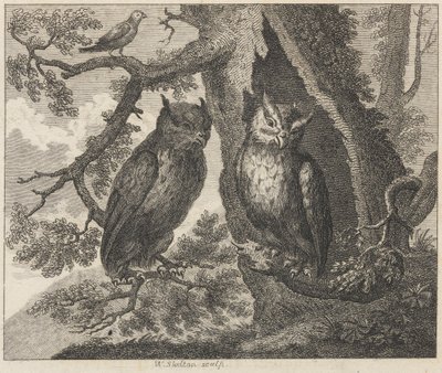 Die zwei Eulen und der Spatz von William Skelton