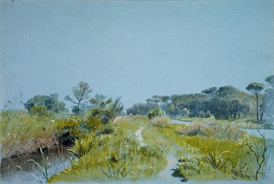Castel Fusano bei Rom, ca. 1885 von William Stanley Haseltine