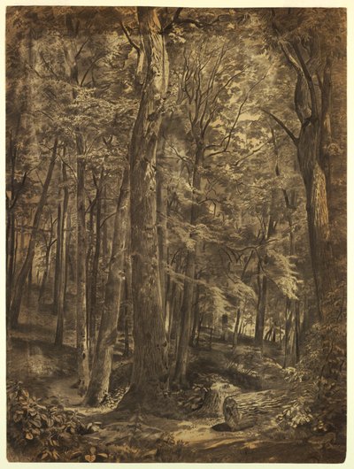 Studie für "Juniwälder" von William Trost Richards