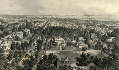 Stadt Buffalo, 1872 von William Wellstood