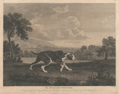 [Schießen] Der spanische Zeiger von William Woollett