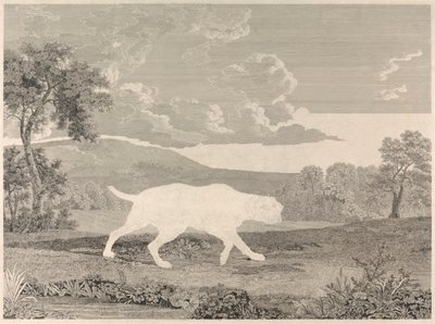 [Schießen] Der spanische Zeiger von William Woollett