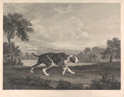 Der spanische Zeiger von William Woollett