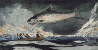 Ein guter Pool, Saguenay River, 1895 von Winslow Homer