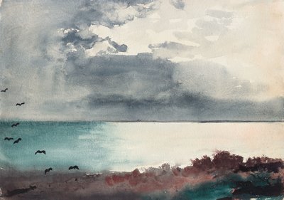Sturm bricht los, Küste von Maine von Winslow Homer