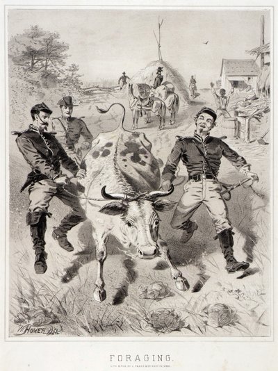 Kampagnenskizzen: Plündern von Winslow Homer