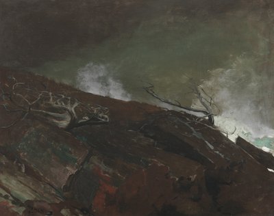 Küste von Maine, 1893 von Winslow Homer