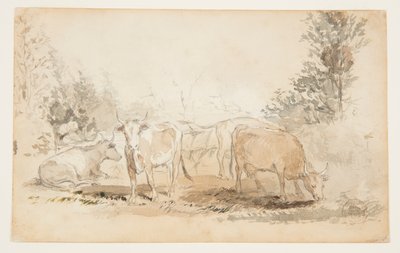 Kühe auf einer Weide von Winslow Homer
